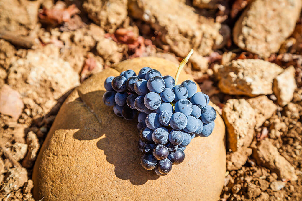 Domaine de Nalys Châteauneuf-du-Pape