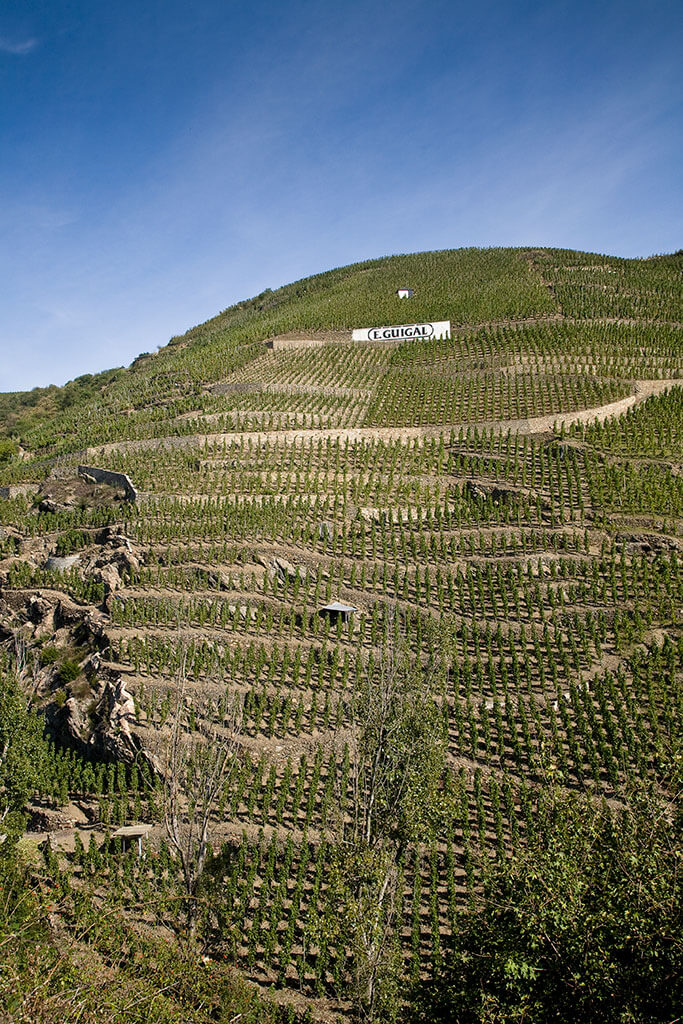 Coteaux Domaine Guigal Côtes du Rhône