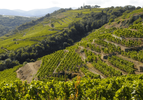 Coteaux Côtes-du-Rhône